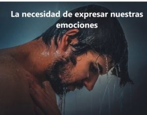 catarsis Qué es la catarsis en la psicología