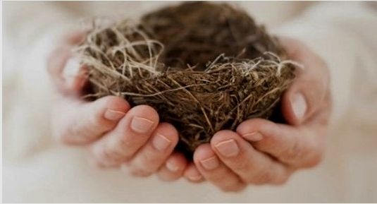 síndrome del nido vacío Cuanto tiempo dura el síndrome del nido vacío