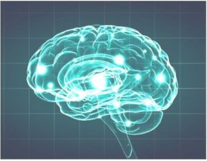 Neuropsicología Historia de la Neuropsicología
