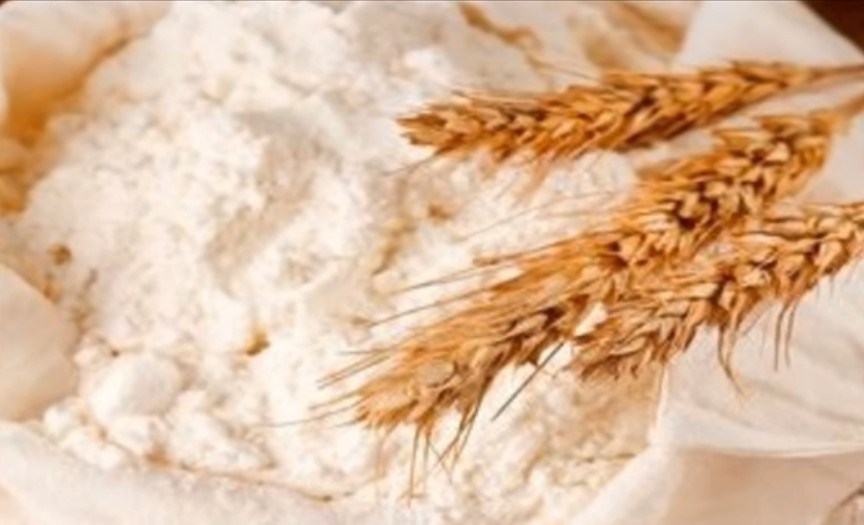 beneficios del trigo beneficios del trigo burgol